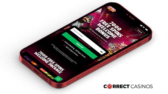 DiceWise Casino Mobile Version