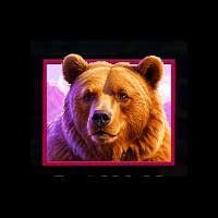 Himalayan Wild Bear Symbol