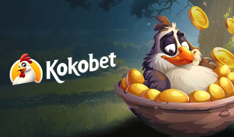 KokoBet banner