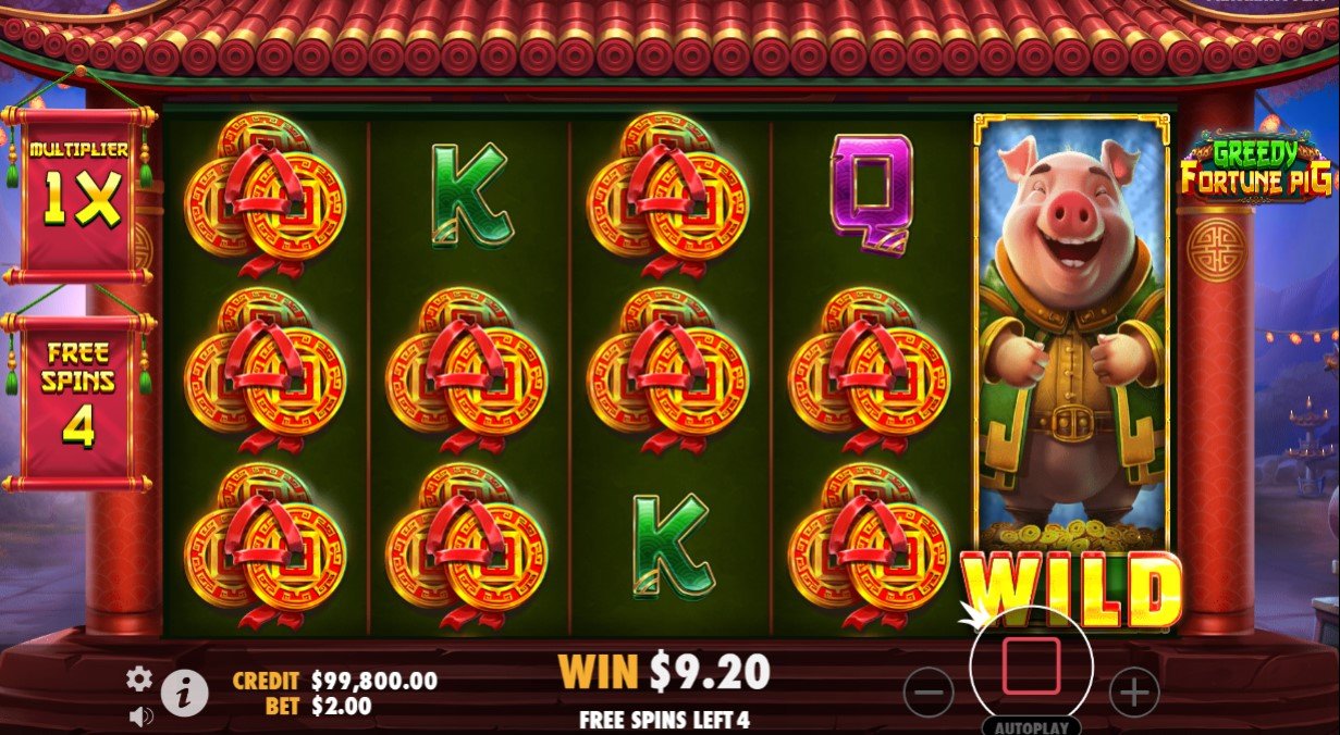 Greedy Fortune Pig