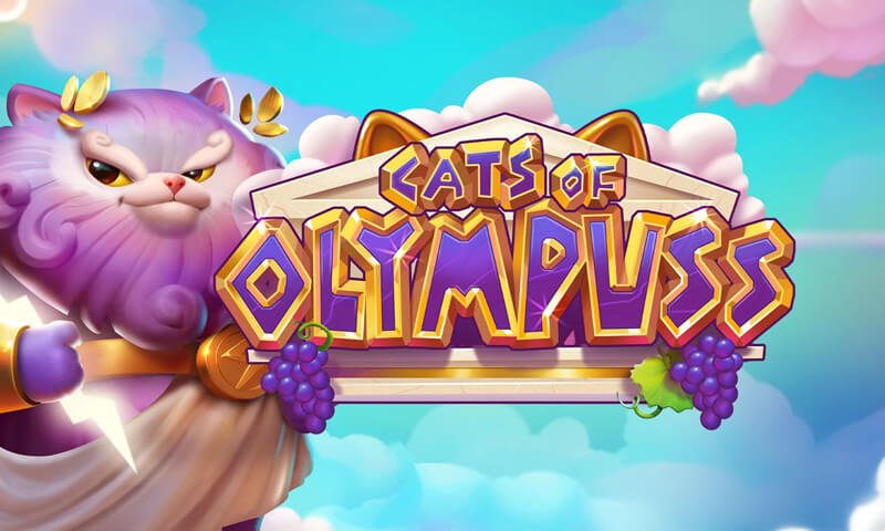 Cats of Olympuss Slot