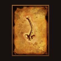 Mental 2 Backbone Symbol