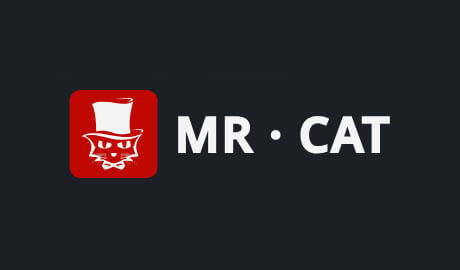 Mr Cat Casino Banner