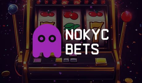 NoKYCbets Casino Banner