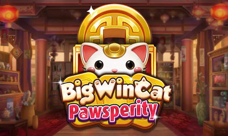 Big Win Cat Pawsperity Slot
