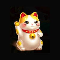 Lucky Tiger 1000 Cat Symbol