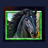5 Wild Wolves Horse Symbol