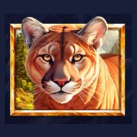 5 Wild Wolves Leopard Symbol