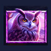 5 Wild Wolves Owl Symbol