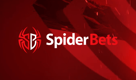 SpiderBets Casino Banner