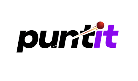 Puntit Casino Banner